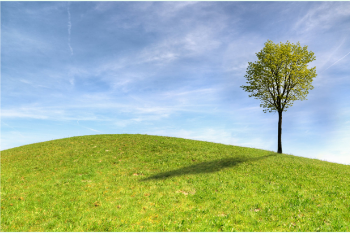 華榮華電子——2021“清明節(jié)”放假通知 alt=